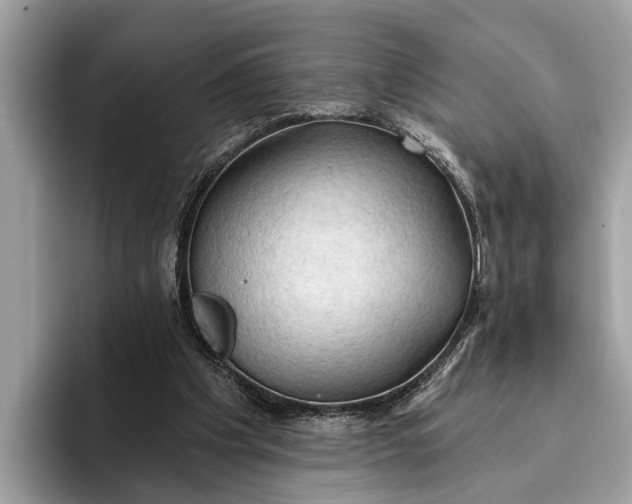 X0000096430201200802141438