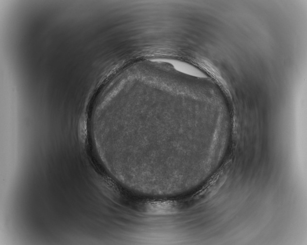 X0000096430202200802141438