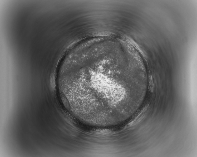 X0000096430203200802141438