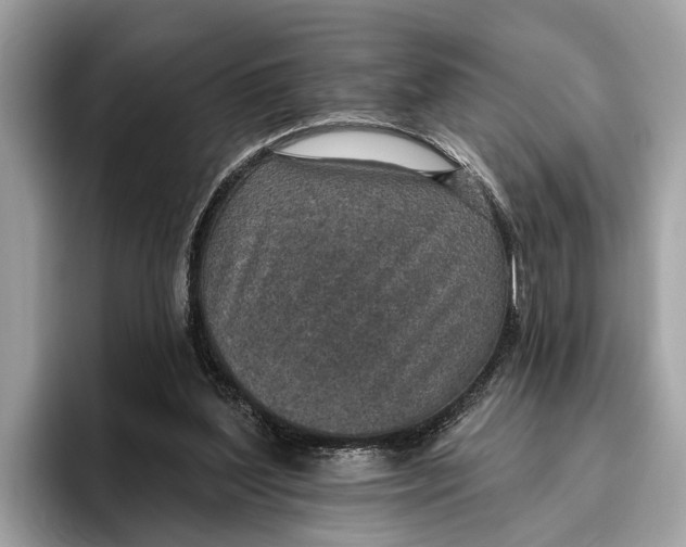 X0000096430204200802141438