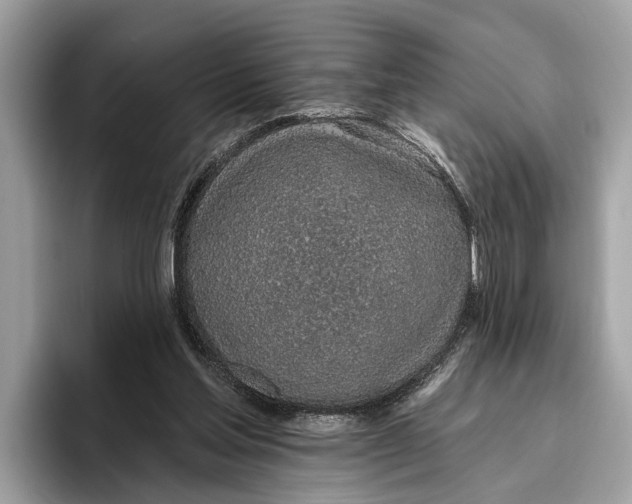X0000096430205200802141438