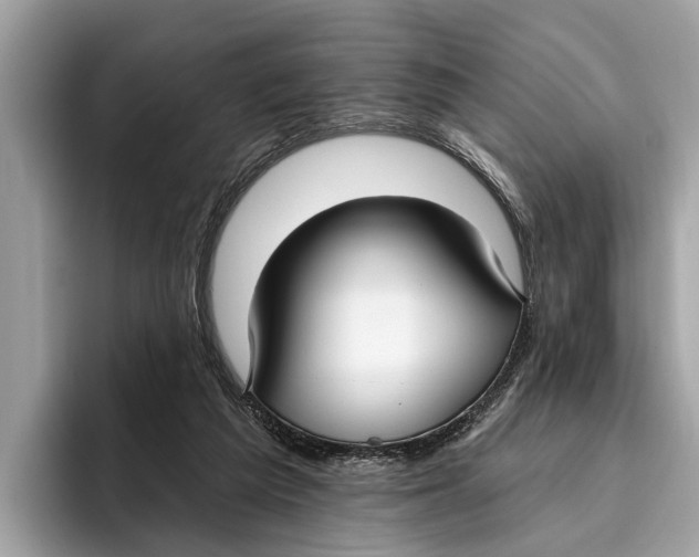 X0000096430209200802141438