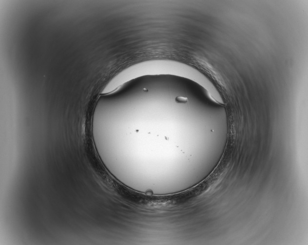 X0000096430213200802141438