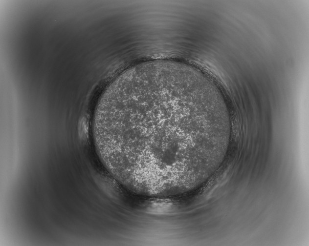 X0000096430214200802141438