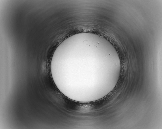 X0000096430218200802141438