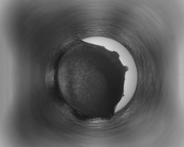 X0000096430219200802141438