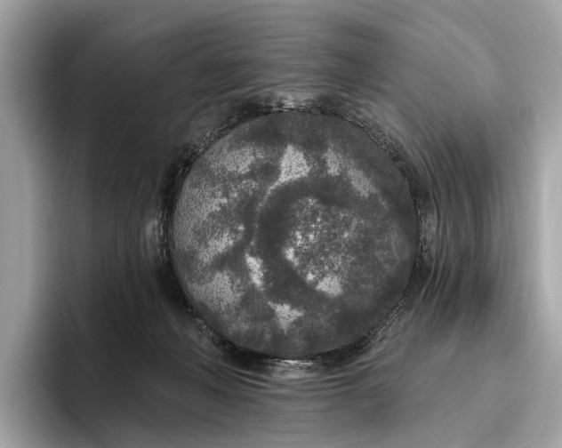 X0000096430222200802141438