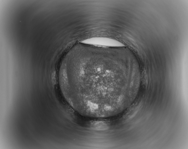 X0000096430224200802141438
