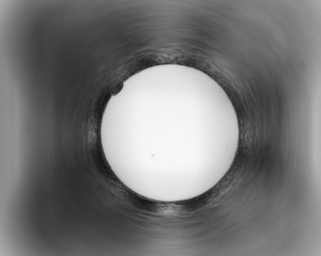 X0000096430226200802141438