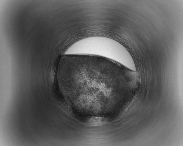 X0000096430227200802141438