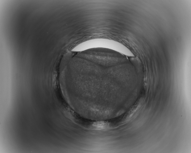 X0000096430231200802141438