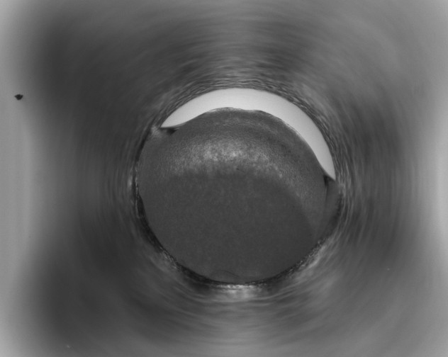 X0000096430233200802141438