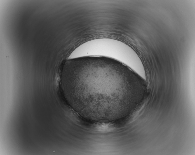 X0000096430235200802141438