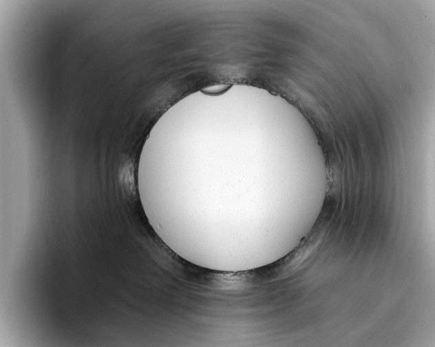 X0000096430238200802141438