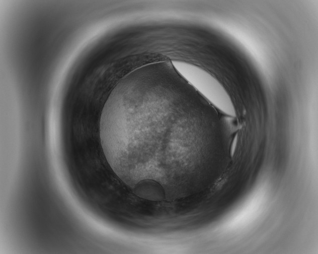 X0000096430239200802141438