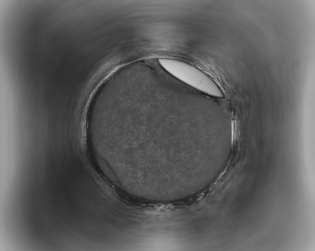 X0000096430243200802141437