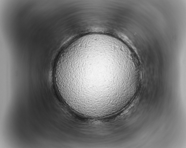 X0000096430249200802141437