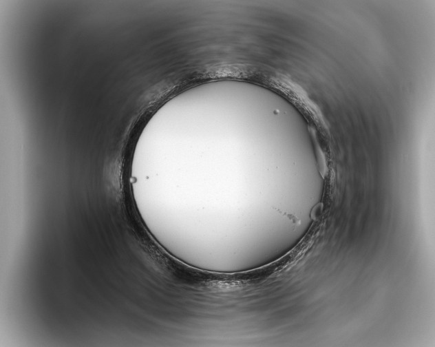 X0000096430250200802141437