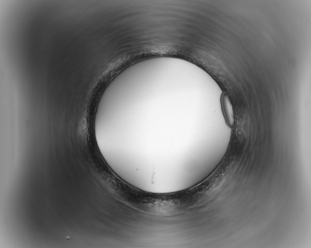 X0000096430256200802141437