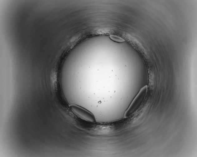 X0000096430260200802141437