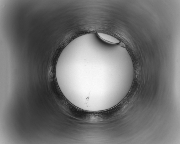 X0000096430264200802141438