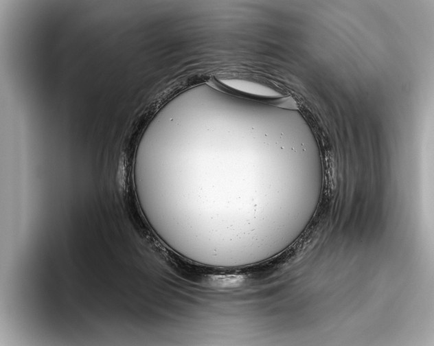 X0000096430266200802141438