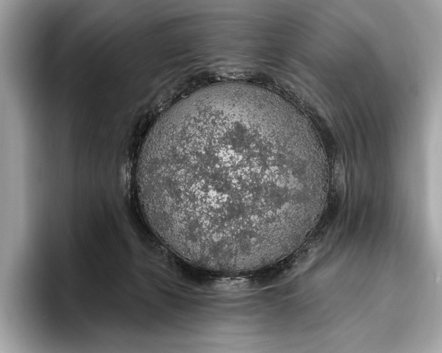 X0000096430271200802141438