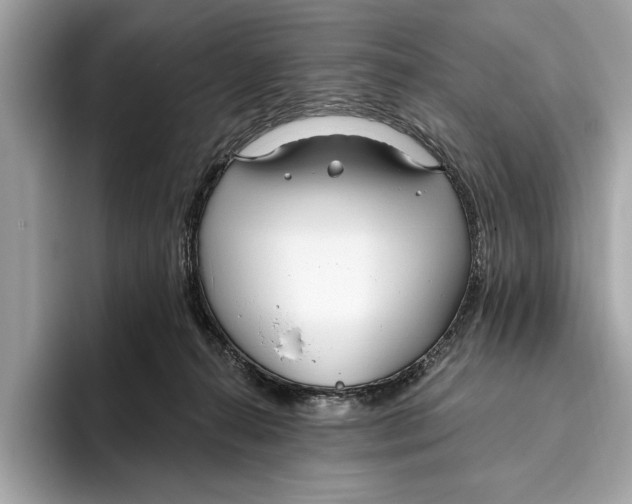 X0000096430272200802141438