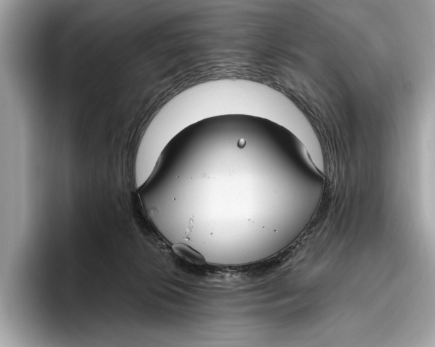 X0000096430276200802141438