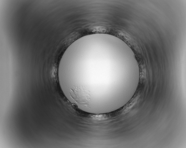 X0000096430281200802141438