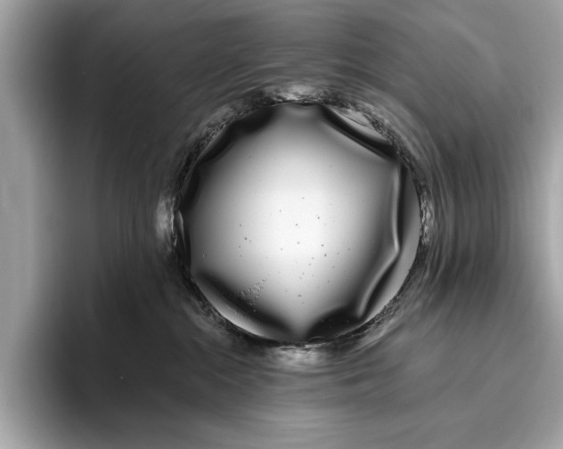 X0000096430284200802141438
