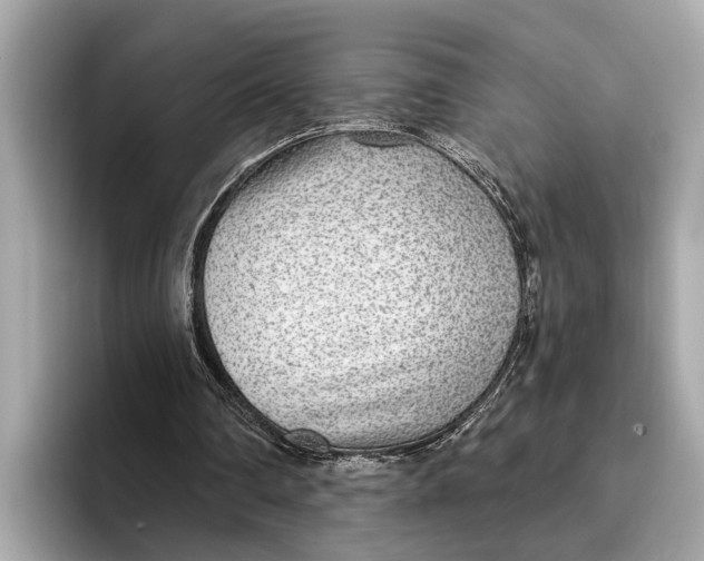 X0000096430290200802141437