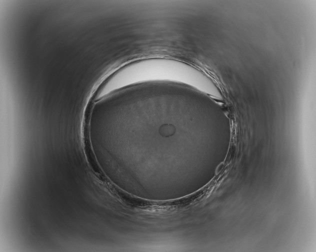 X0000096430292200802141437