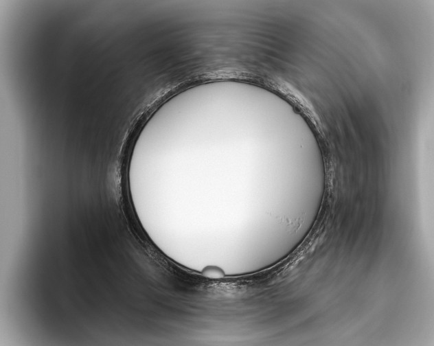 X0000096430298200802141437