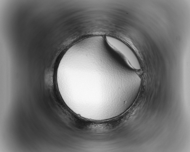 X0000096430299200802141437