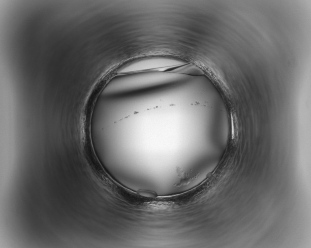 X0000096430300200802141437