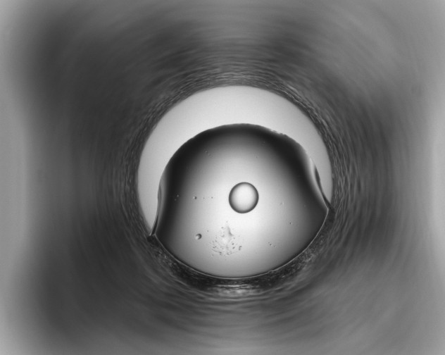 X0000096430316200802141437