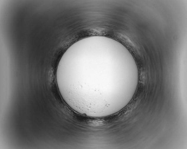 X0000096430318200802141437