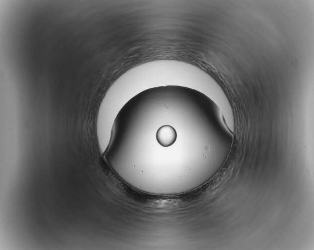 X0000096430323200802141437