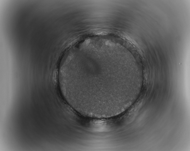 X0000096430325200802141437