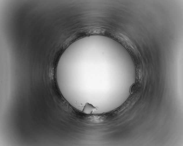 X0000096430326200802141437