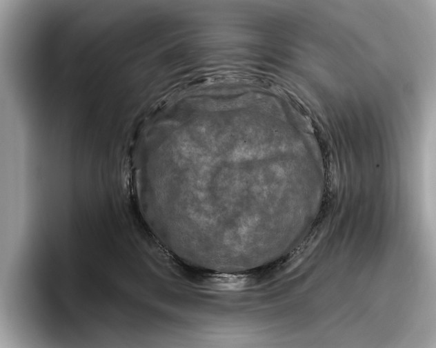 X0000096430328200802141437