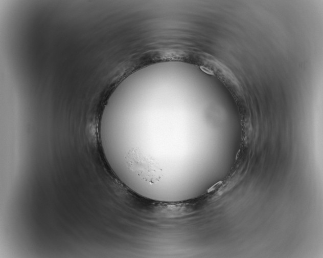 X0000096430329200802141437