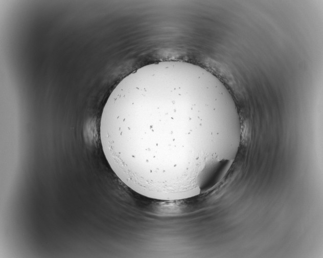 X0000096430335200802141437