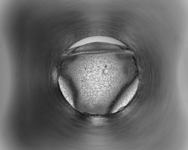 X0000096430336200802141437