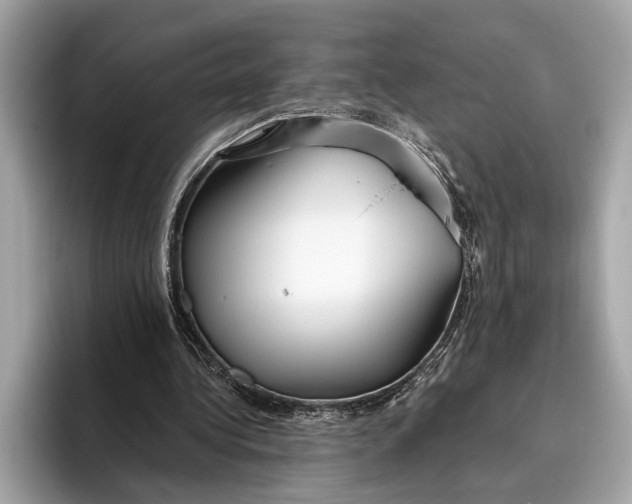 X0000096430340200802141436