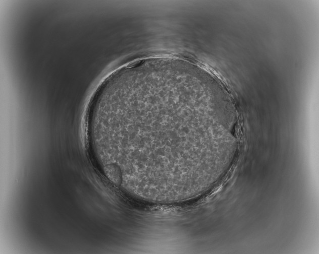 X0000096430343200802141436