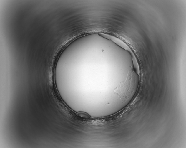 X0000096430345200802141436
