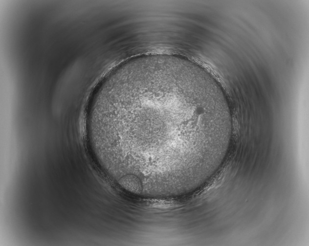 X0000096430347200802141436