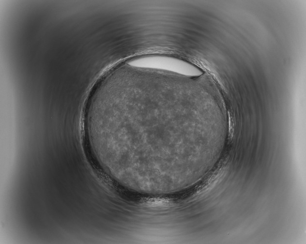 X0000096430348200802141436